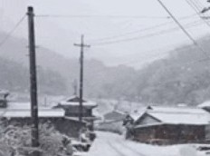 你从未见过的日本 原文插图 6