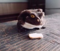 你从未见过的日本 原文插图 32